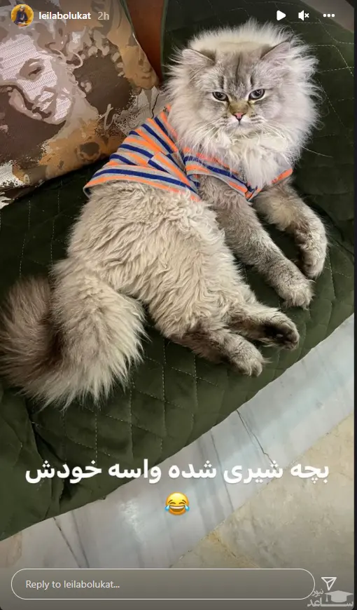 لیلا-بلوکات