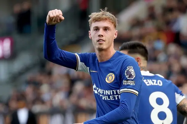 پالمر-برنلی