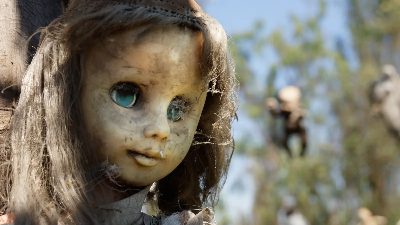 عروسک-جزیره