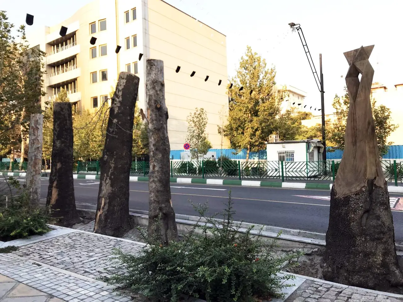 درخت-شهر