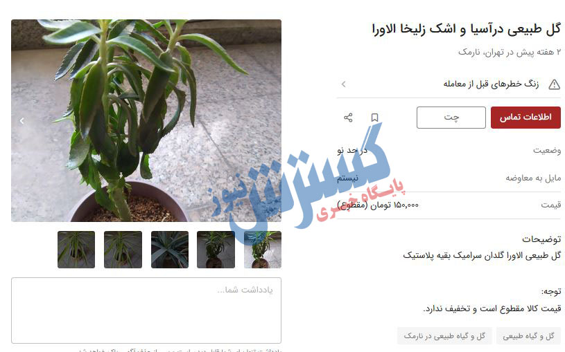 اشک-زلیخا