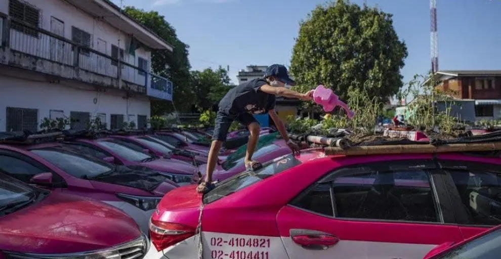 تاکسی-باغچه۲