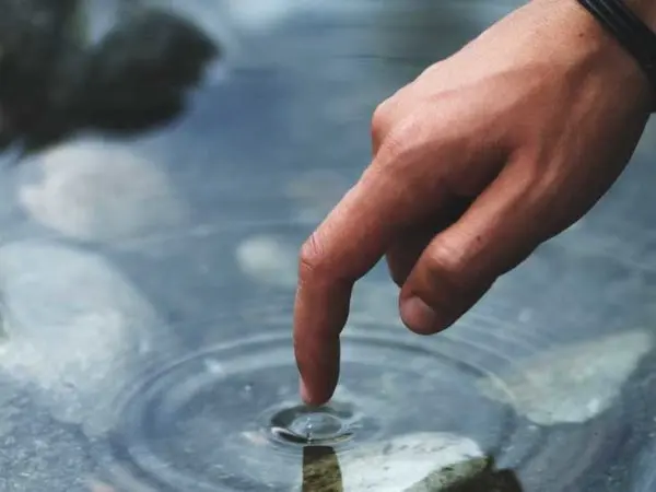 افراد-کایمریک