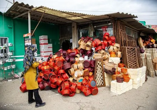 بازار-گل (29)