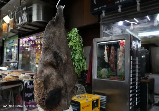 رمضان-سوریه (26)