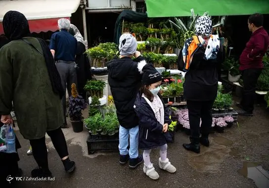 بازار-گل (25)