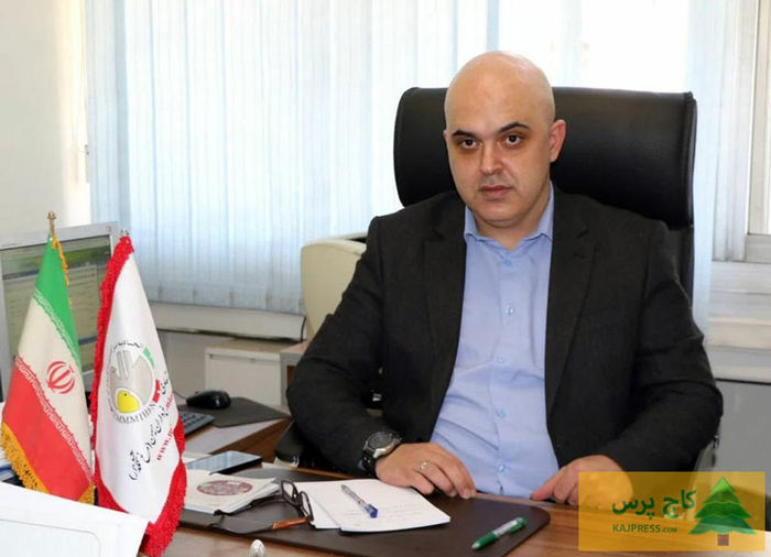 قیمت تخم مرغ باید اصلاح شود