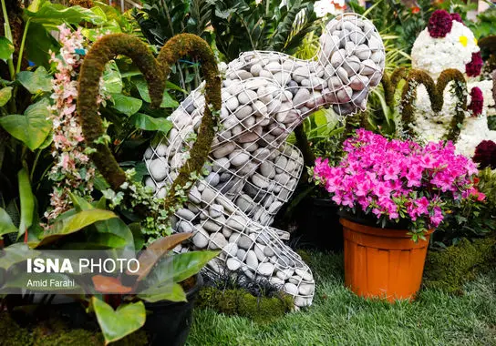 نمایشگاه-بین المللی (4)