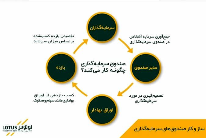 لوتوس؛ همراهی قابل اتکا برای سرمایه‌گذاری