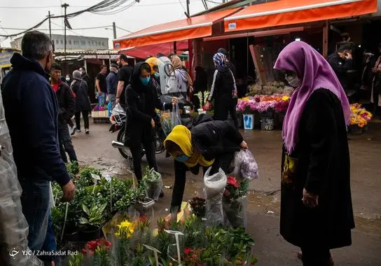 بازار-گل (17)
