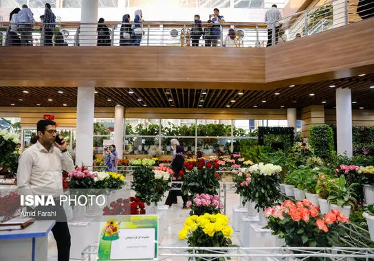 نمایشگاه-بین المللی (15)