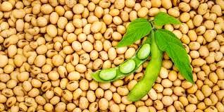 تجارت چرب چینی ها!