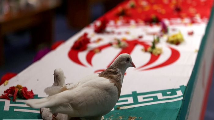 ایران چند شهید دارد؟