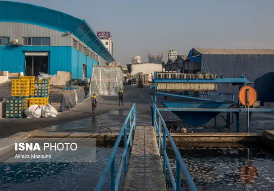 نوشیدنی-ملی (63)