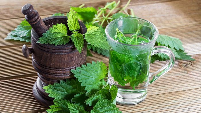 این بیماری ها را با مصرف نعنا درمان کنید