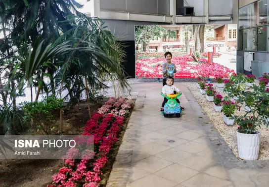 نمایشگاه-بین المللی (12)