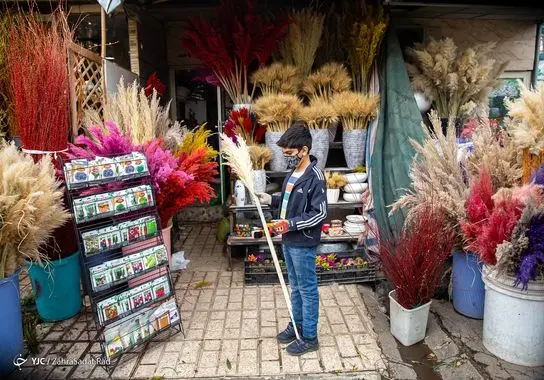 بازار-گل (34)