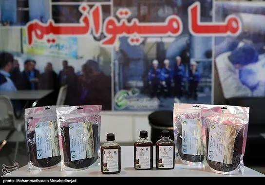 نمایشگاه-پسماند (6)