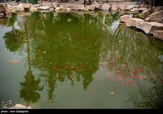 ایرانگردی-گردشگری (2)