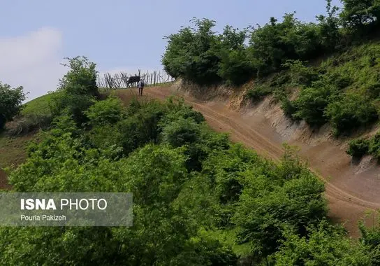 گردشگری-ایرانگردی (14)
