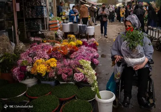 بازار-گل (22)